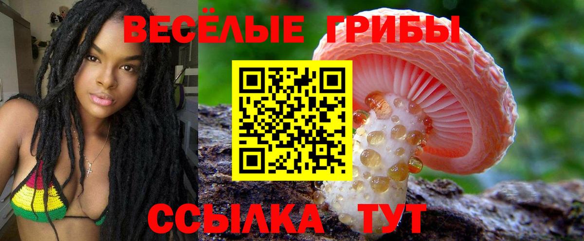 Кыштым  Псилоцибиновые грибы прущие грибы  Вход с VPN  Псилоцибиновые грибы ЛСД 